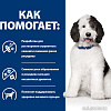 Консервированный корм для собак Hill&#039;s Prescription Diet c/d Multicare Urinary Care с курицей (для здоровья нижних мочевыводящих путей) 370 г