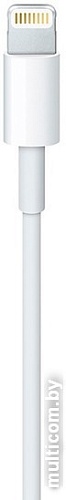 Кабель Apple MK0X2ZM/A