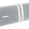 Акустика Bose DesignMax DM2S (белый)