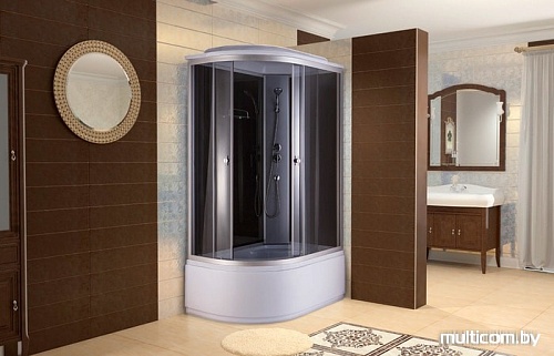 Душевая кабина Niagara NG-1510-14 R