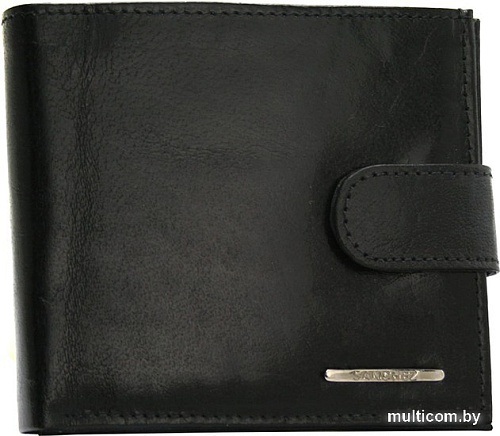 Кошелек Sanchez Casual TM-91R-213 (черный)