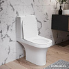 Унитаз Damixa Skyline DX35C8600SC (с сиденьем)