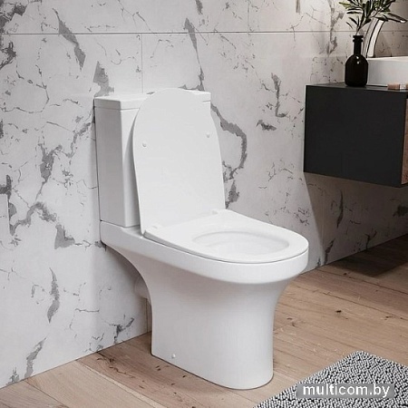 Унитаз Damixa Skyline DX35C8600SC (с сиденьем)
