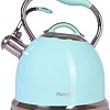 Чайник со свистком Fissman Felicity 5958 (аквамарин)