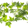Искусственное растение Lucky Reptile Ivy Vine LP-72