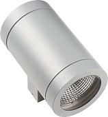 Уличный настенный светильник Lightstar Paro 351619