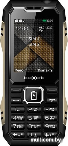Мобильный телефон TeXet TM-D428 (черный)