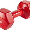 Гантель VictoryFit VF-DV0100 10 кг