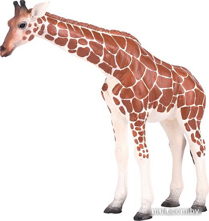 Фигурка Konik Жираф Самка AMW2010