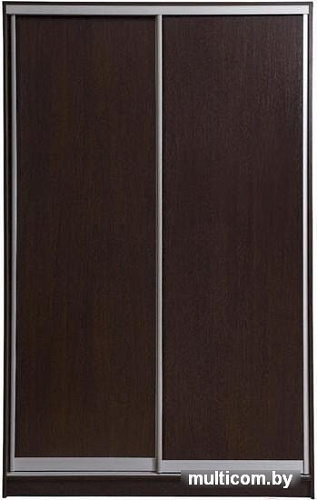 Шкаф-купе Рэйгрупп 138450 VVX Elgon РГ-11.03 (венге/венге/хром)