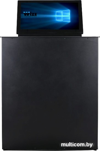 Монитор Wize WR-17GF