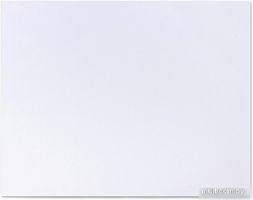 Холст для рисования BRAUBERG Art Classic 191020