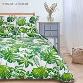 Постельное белье Этель Монстера 1534708
