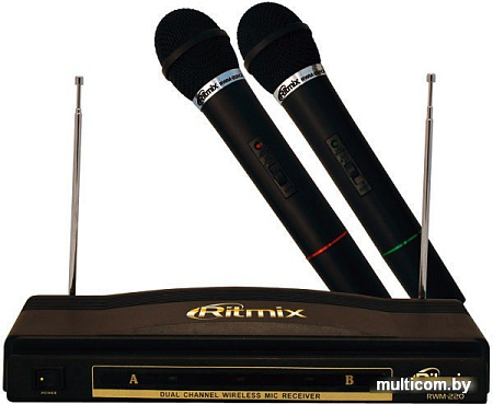 Микрофон Ritmix RWM-220
