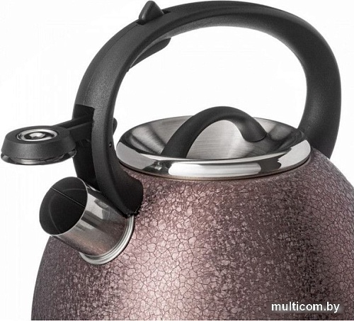 Чайник со свистком Agness Teekessel 907-252
