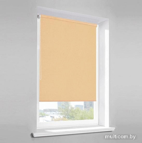 Рулонные шторы Lm Decor Лайт LM 30-10С 140x170