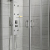 Душевой уголок Radaway Premium Plus C 100х100 (прозрачное стекло)