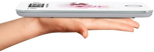 Кухонные весы Zigmund & Shtain Kuchen-Profi DS-110