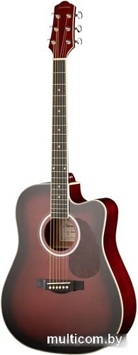 Акустическая гитара Naranda DG220CWRS