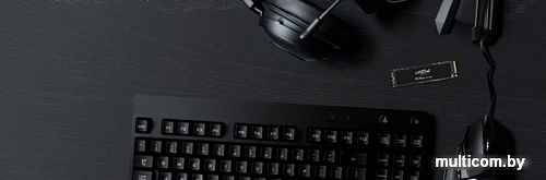 SSD Crucial P5 Plus 2TB CT2000P5PSSD8