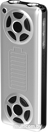 Мобильный телефон Maxvi P20 (серебристый)