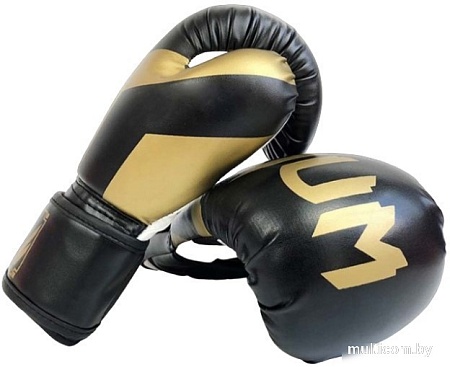 Перчатки Sundays NW-036 (6oz, черный/золотистый)