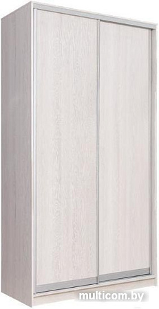 Шкаф-купе Рэйгрупп 138450 YYX Elgon РГ-11.03 (ясень снежный/хром)