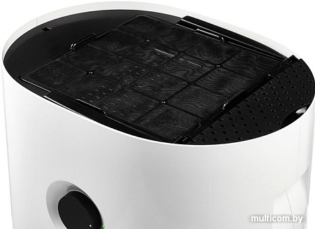 Мойка воздуха Electrolux EHW-620