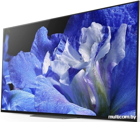 Телевизор Sony KD-65AF8
