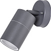 Уличный настенный светильник Arte Lamp Mistero A3304AL-1GY