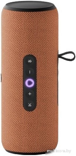 Умная колонка Яндекс Станция Стрит (оранжевый)