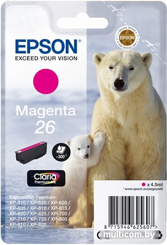 Картридж Epson C13T26134012