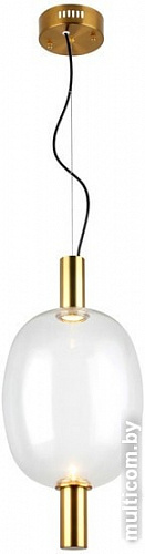 Подвесная люстра ST Luce Allenore SL1582.313.01