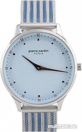 Наручные часы Pierre Cardin PC902722F201