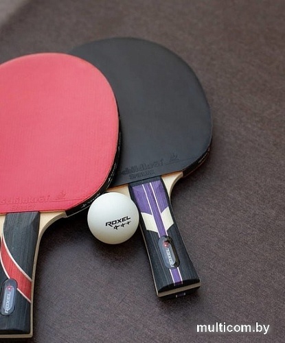 Ракетка для настольного тенниса Roxel Stellar