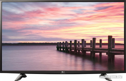 Телевизор LG 49LV300C