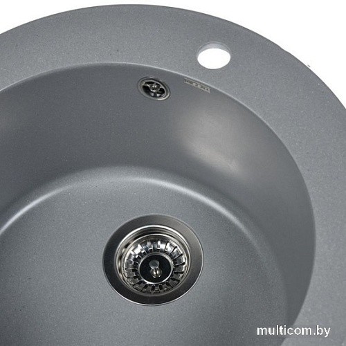 Кухонная мойка Wisent 510-29WR (с сифоном GER013)