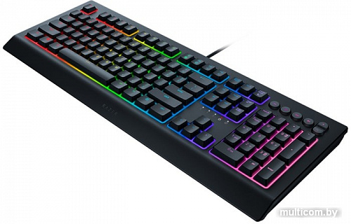 Клавиатура Razer Cynosa v2