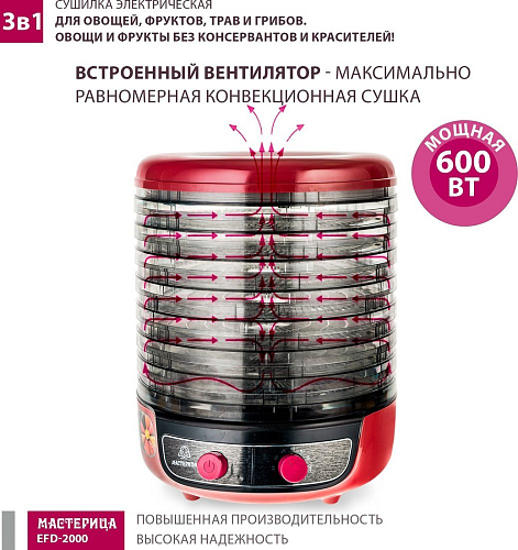 Мастерица EFD-2000