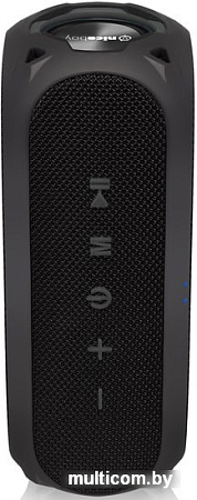 Беспроводная колонка Niceboy Raze 3 Radion