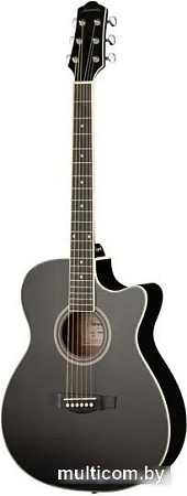Акустическая гитара Naranda TG220CBK