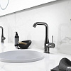 Держатель для мыльницы и стакана Grohe Essentials 40369A01 (темный графит)