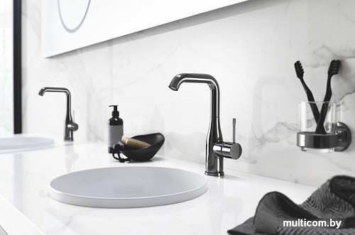 Держатель для мыльницы и стакана Grohe Essentials 40369A01 (темный графит)