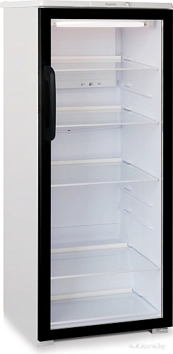 Торговый холодильник Бирюса B290