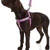Шлея Doog Toto HARPBS-M (розовый)