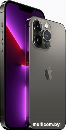 Смартфон Apple iPhone 13 Pro 128GB (графитовый)
