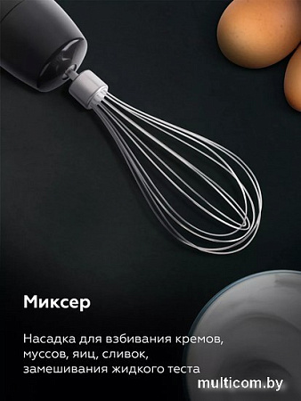 Погружной блендер BQ HB601S (сталь/черный)