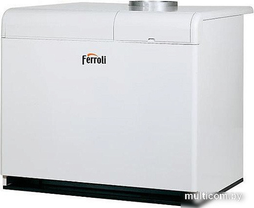 Отопительный котел Ferroli Pegasus F3 N 2S 170