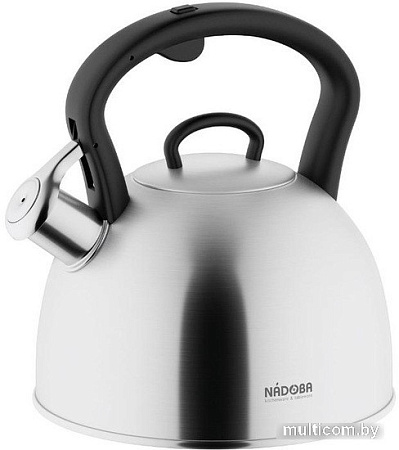Чайник со свистком Nadoba Ivona 731801