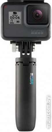 GoPro Shorty